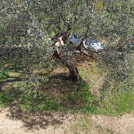 Immerso Nel Appartamento *