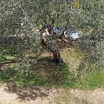 Immerso Nel San Teodoro (Sardinia)
