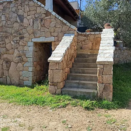 Immerso Nel San Teodoro (Sardinia)