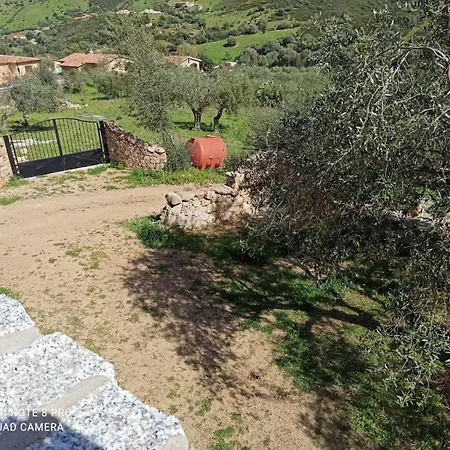 Immerso Nel * San Teodoro (Sardinia)