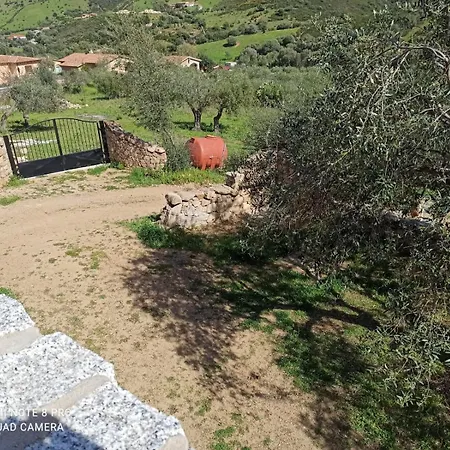 Immerso Nel 圣特奥多罗
